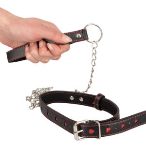 ogrlica i povodac od umjetne kože