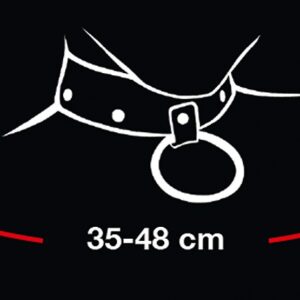 ogrlica i povodac od umjetne kože