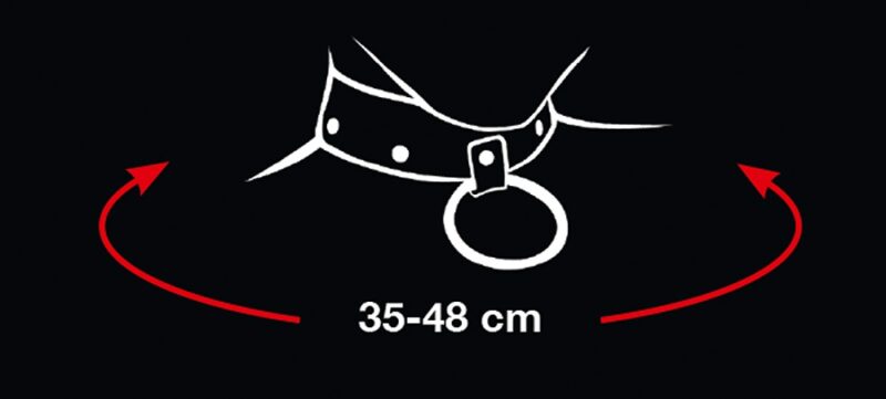 ogrlica i povodac od umjetne kože