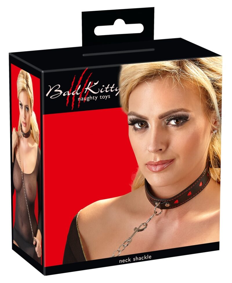 ogrlica i povodac od umjetne kože