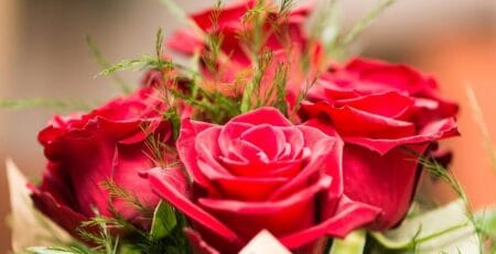 Dan žena jednak tretman seksualnosti i starenja